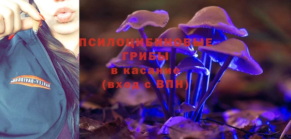 прущие крисы Аркадак